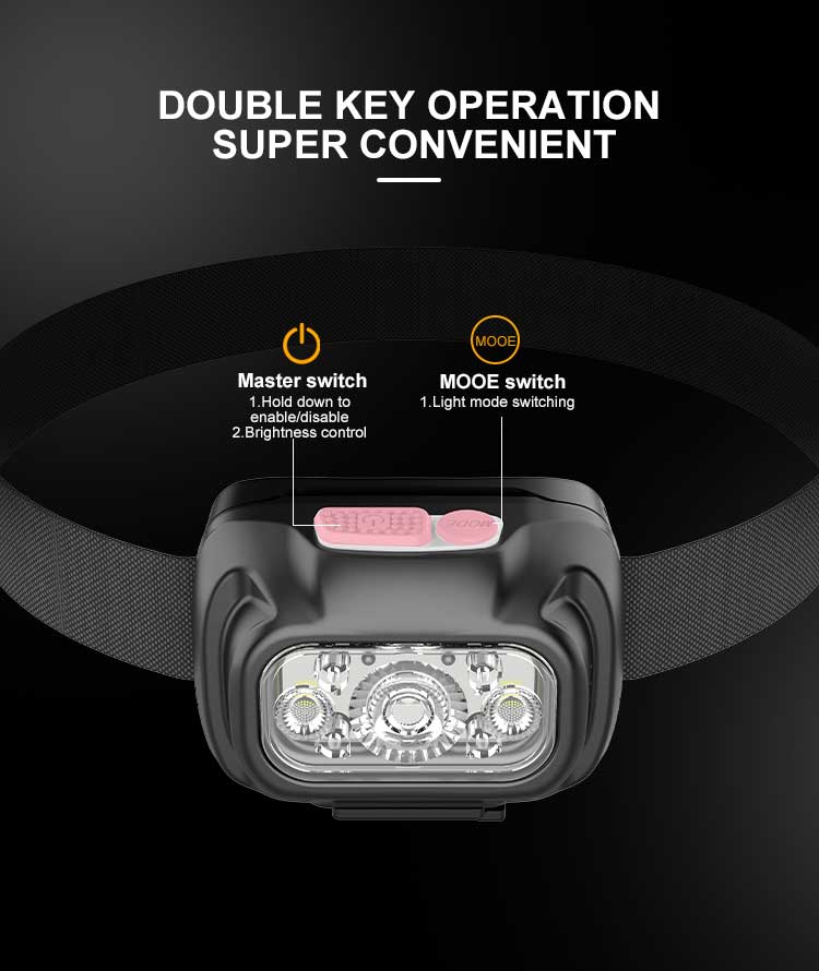 dual power switch