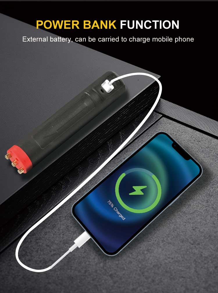 https://ptwebimg-3.pinshop.com/i/2025/06/01/zamox3-2.jpg