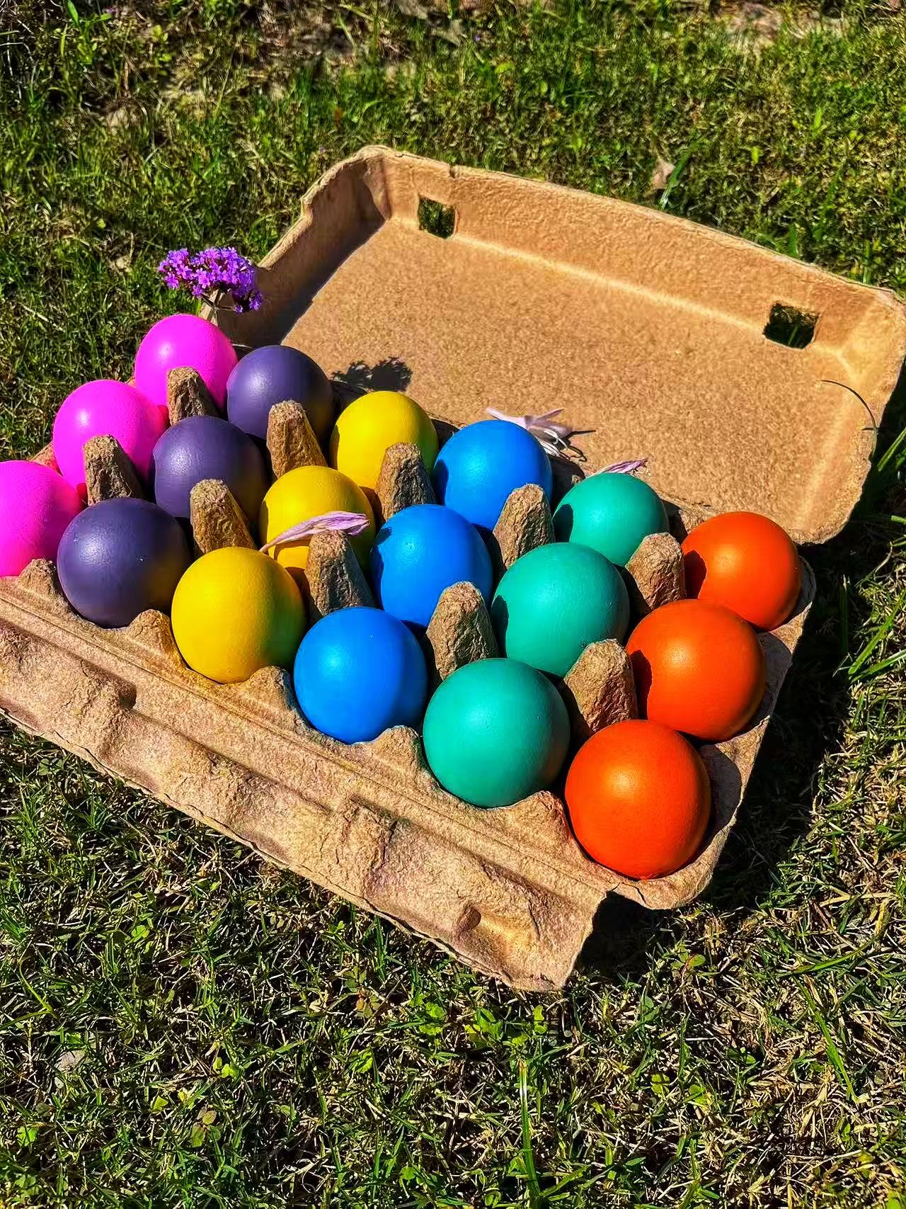 Celebre con huevos de confeti ecológicos: ¡una explosión de alegría!