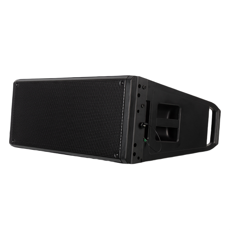 Audfine HDL210 dual 10 inch active line array speaker