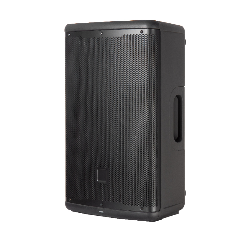 active speaker with DSP