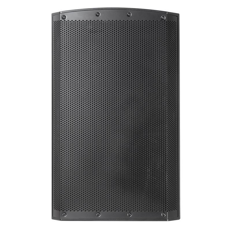 active speaker with echo