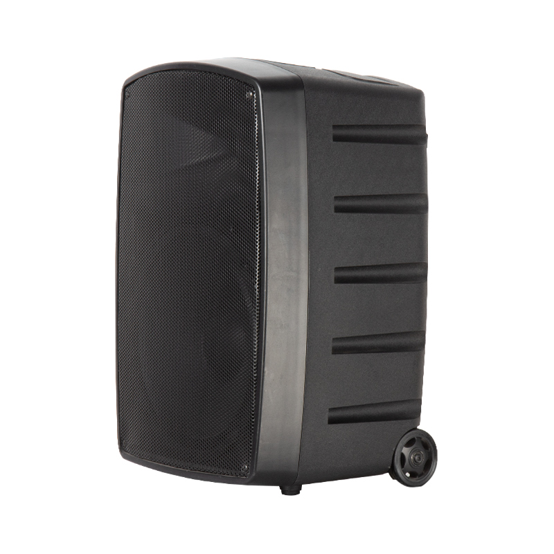 portable PA speaker