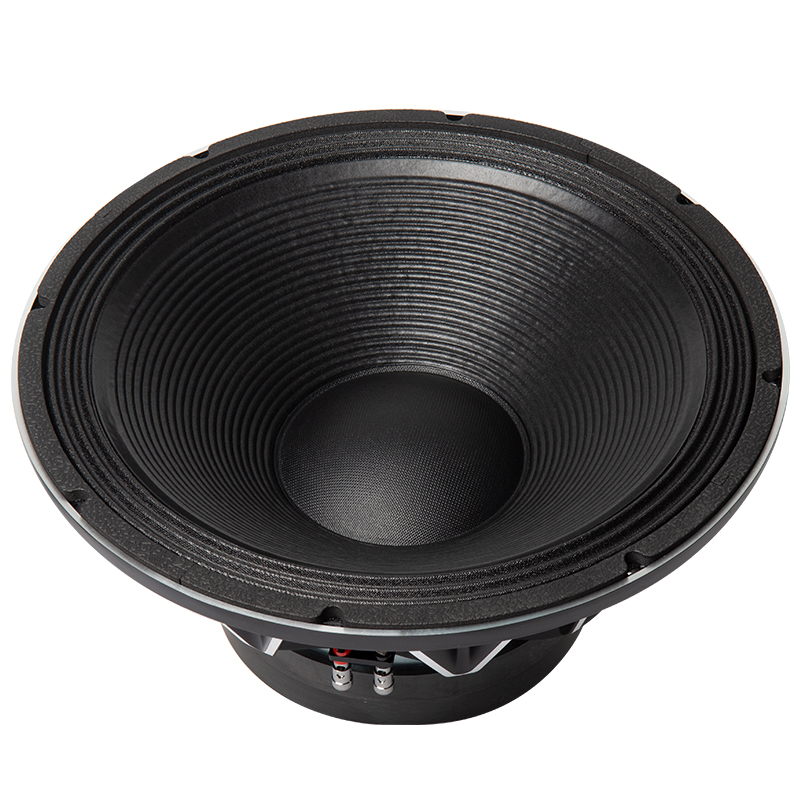Subwoofer for Car