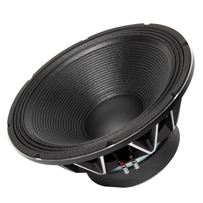 Subwoofer for Car
