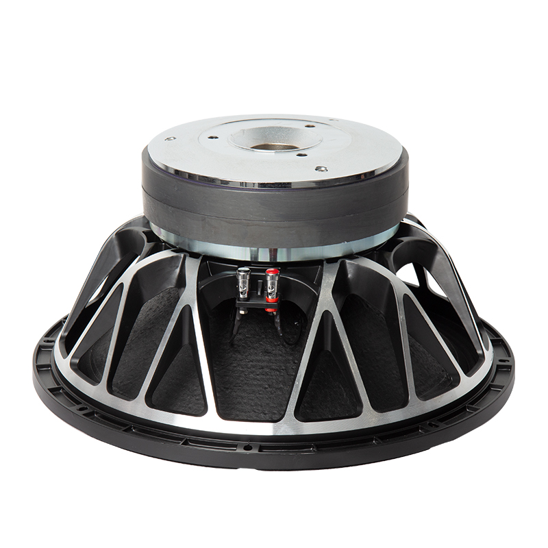 Subwoofer for Car