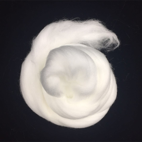 https://ptwebimg-3.pinshop.com/i/2025/08/11/fswx04-2.jpg