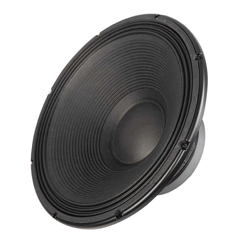 Subwoofer for Home Theater