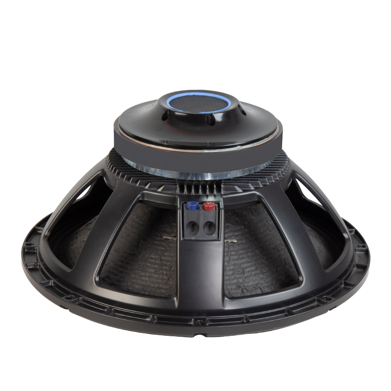 Subwoofer for Home Theater