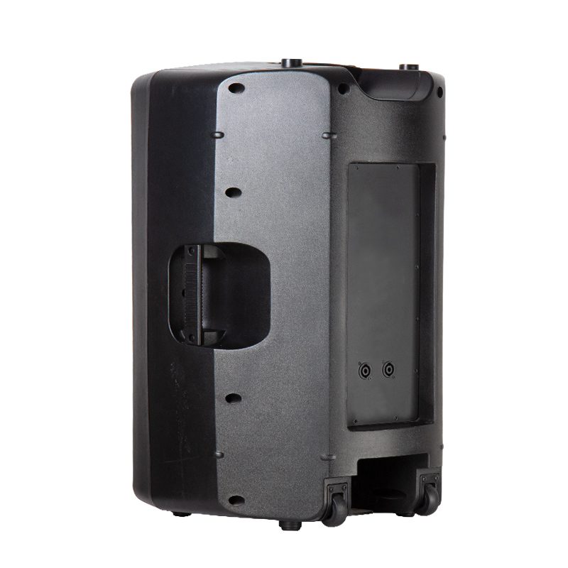 passive speaker for parties