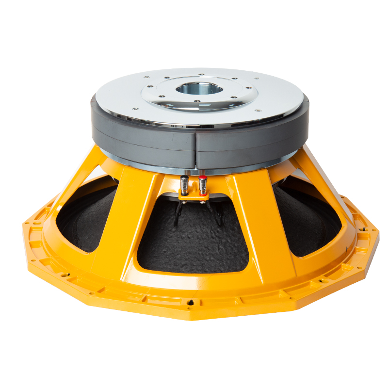 Subwoofer, 21 inch subwoofer, Professional speaker woofer, 21 inch powered subwoofer, Dual 21 inch subwoofer